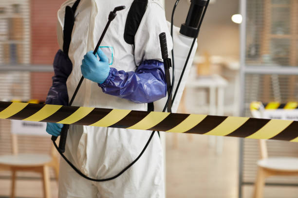 Professional Sewage Cleanup technician working in Melvin Village, NH